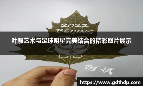 8868体育官方网站